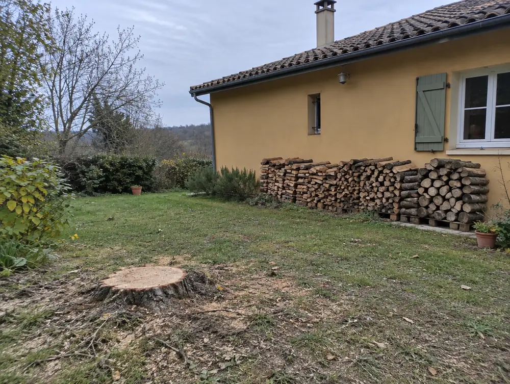 Après : arbre abattu, bûches empilées